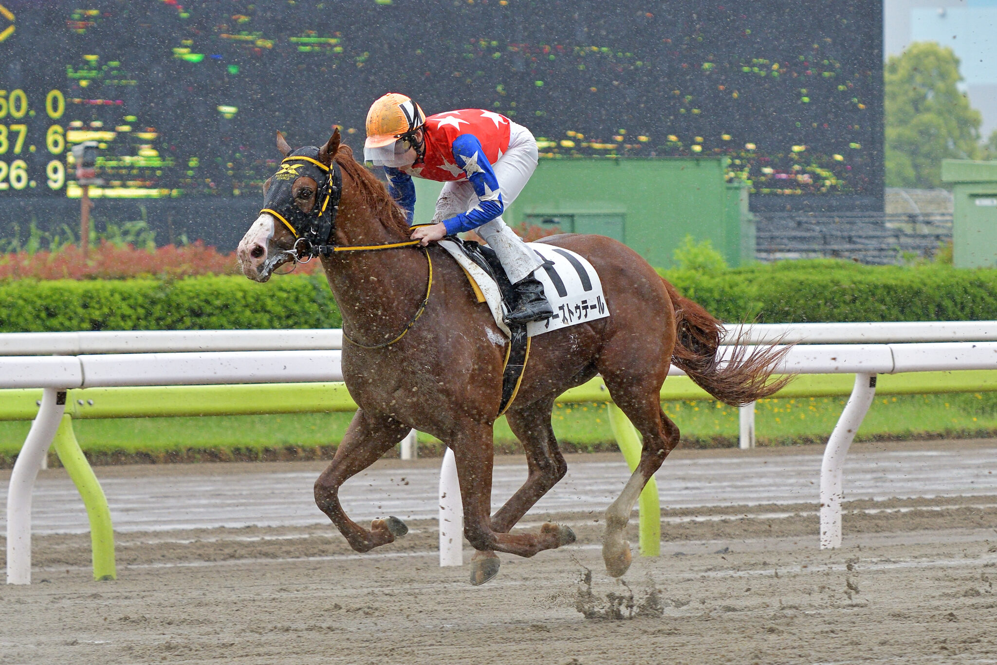 川崎競馬 御神本