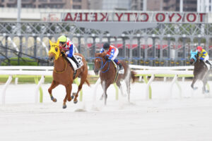 第10回 大井競馬 第5日【1R】キュアフローラ号×藤田凌