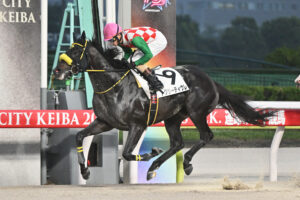 第11回 大井競馬 第1日【5R】トクシーティグレ号×矢野貴之